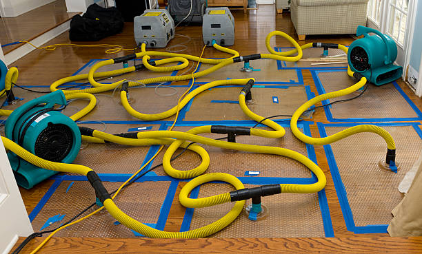 Professional Storm Water Damage Restoration technician working in Maury, NC